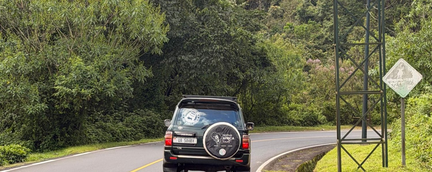 3 Days chimpanzees of Nyungwe with Native Africa Tours