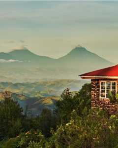 6 Days Uganda Wildlife and Gorillas Safari with Native Africa Tours