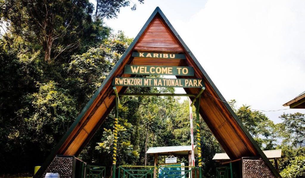11 Days Rwenzori Trek and Kyambura Chimpanzees Safari with Rwenzori Mountains Central Circuit Main Gate