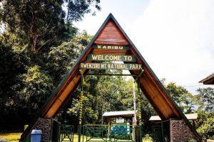11 Days Rwenzori Trek and Kyambura Chimpanzees Safari with Rwenzori Mountains Central Circuit Main Gate