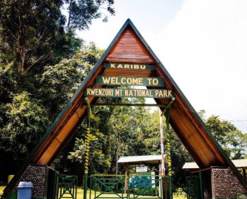 11 Days Rwenzori Trek and Kyambura Chimpanzees Safari with Rwenzori Mountains Central Circuit Main Gate