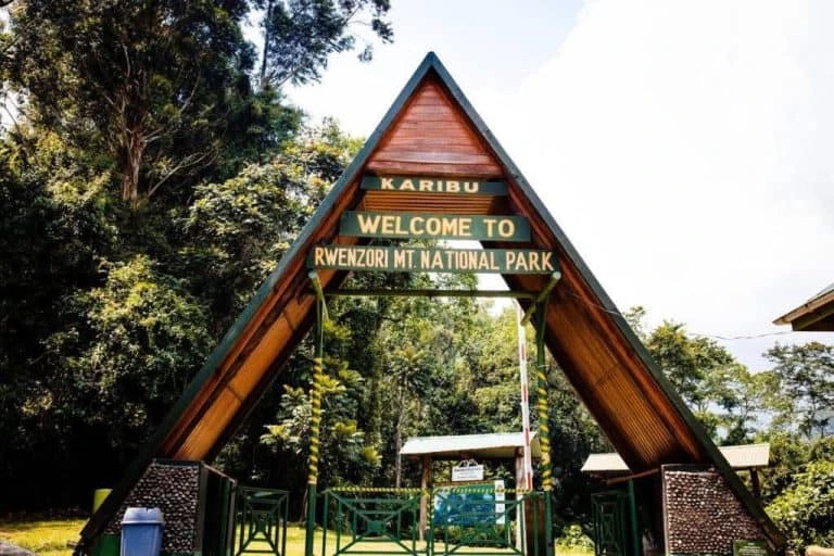 11 Days Rwenzori Trek and Kyambura Chimpanzees Safari