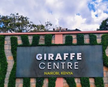 1 Day Giraffe Centre Tour with Native Africa Tours
