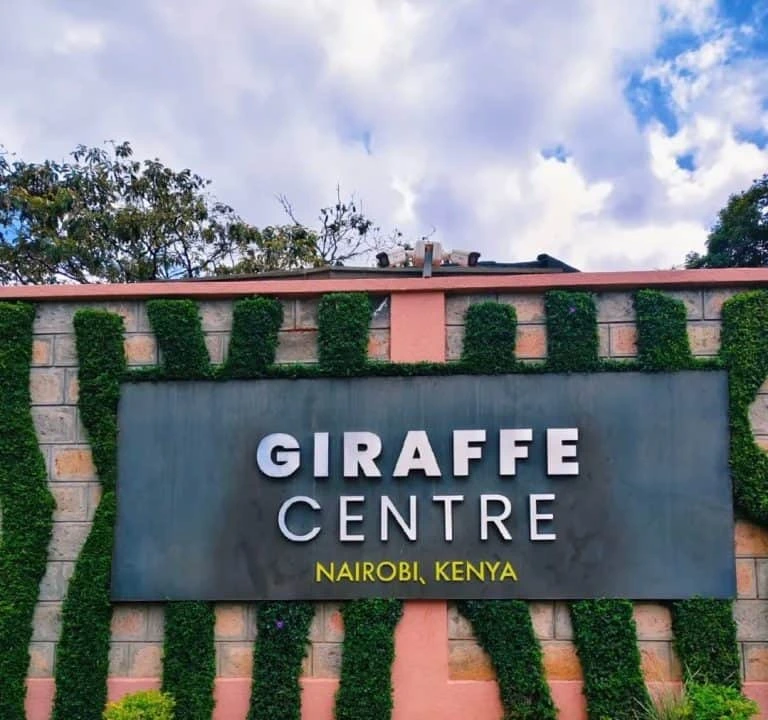 1 Day Giraffe Centre Tour