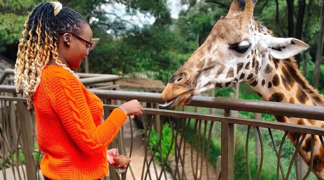 Guest Eperiencing the Giraffe Centre while on 1 Day Nairobi Tour with Native Africa Tours.