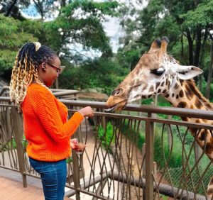 Guest Eperiencing the Giraffe Centre while on 1 Day Nairobi Tour with Native Africa Tours.