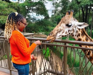 Guest Eperiencing the Giraffe Centre while on 1 Day Nairobi Tour with Native Africa Tours.