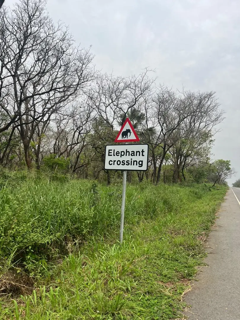 Honeymoon track in Murchison