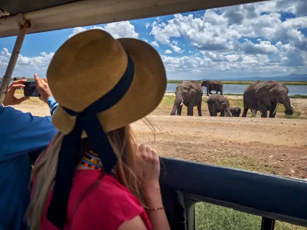 10 Days Nyerere Ngorongoro and Serengeti Safari